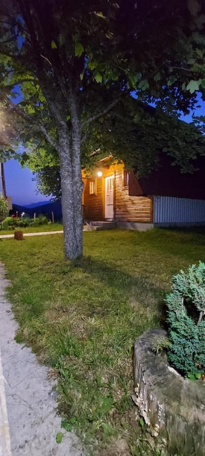Vila Sarigora Žabljak エクステリア 写真